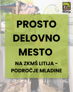 Javni razpis Področni svetovalec I – PODROČJE MLADINE